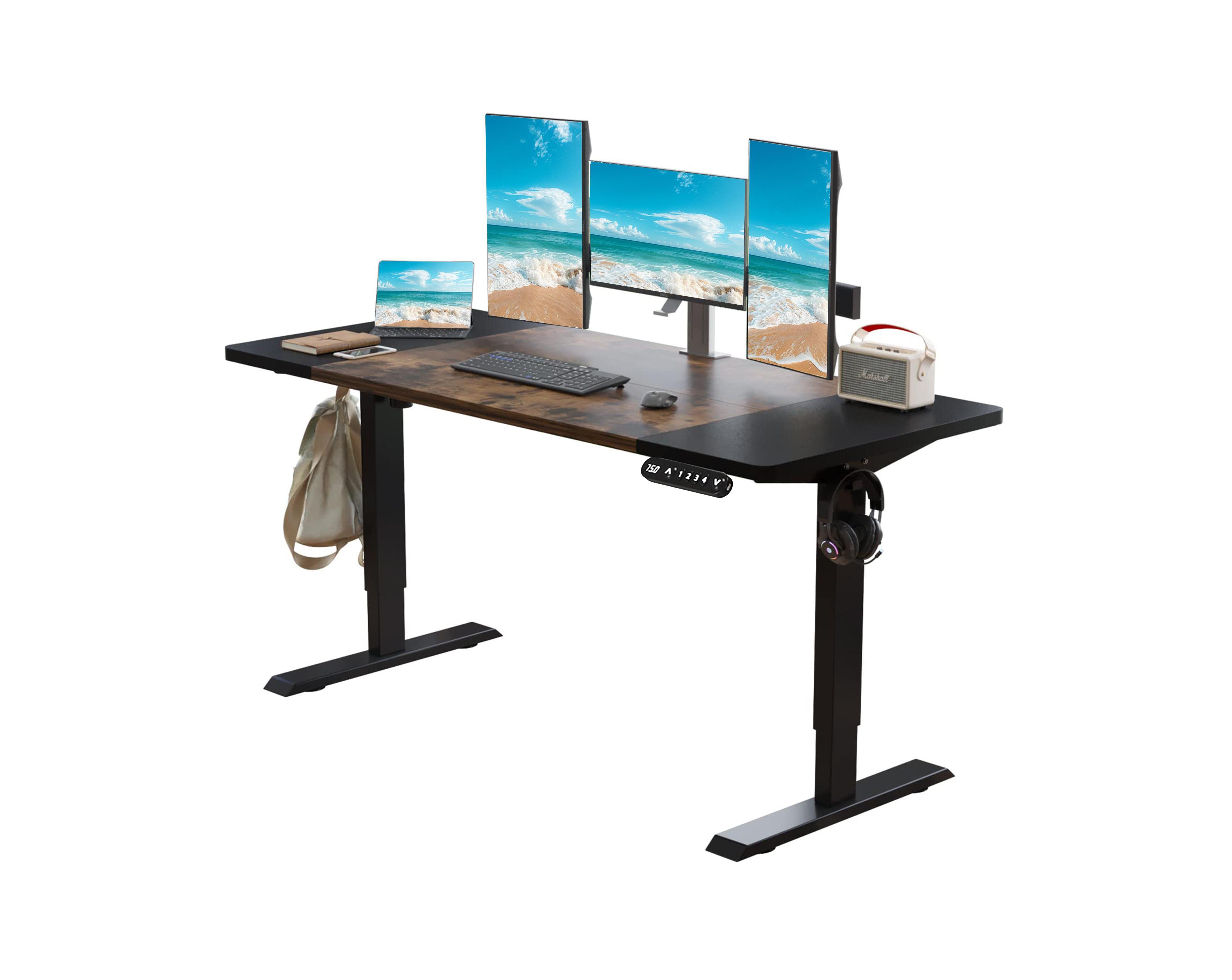 Boyel Living 63"x30" Height Adjustable Electric Standing Desk Stand Up Computer Desk,Sit and Home Office