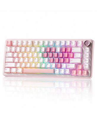 75 Percent Wireless Mechanical Keyboard Gasket Mount Hot Swappable RGB