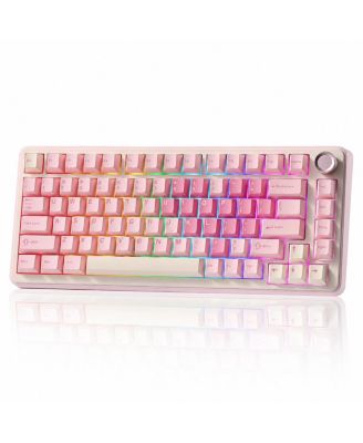75 Percent Wireless Mechanical Keyboard Gasket Mount Hot Swappable RGB