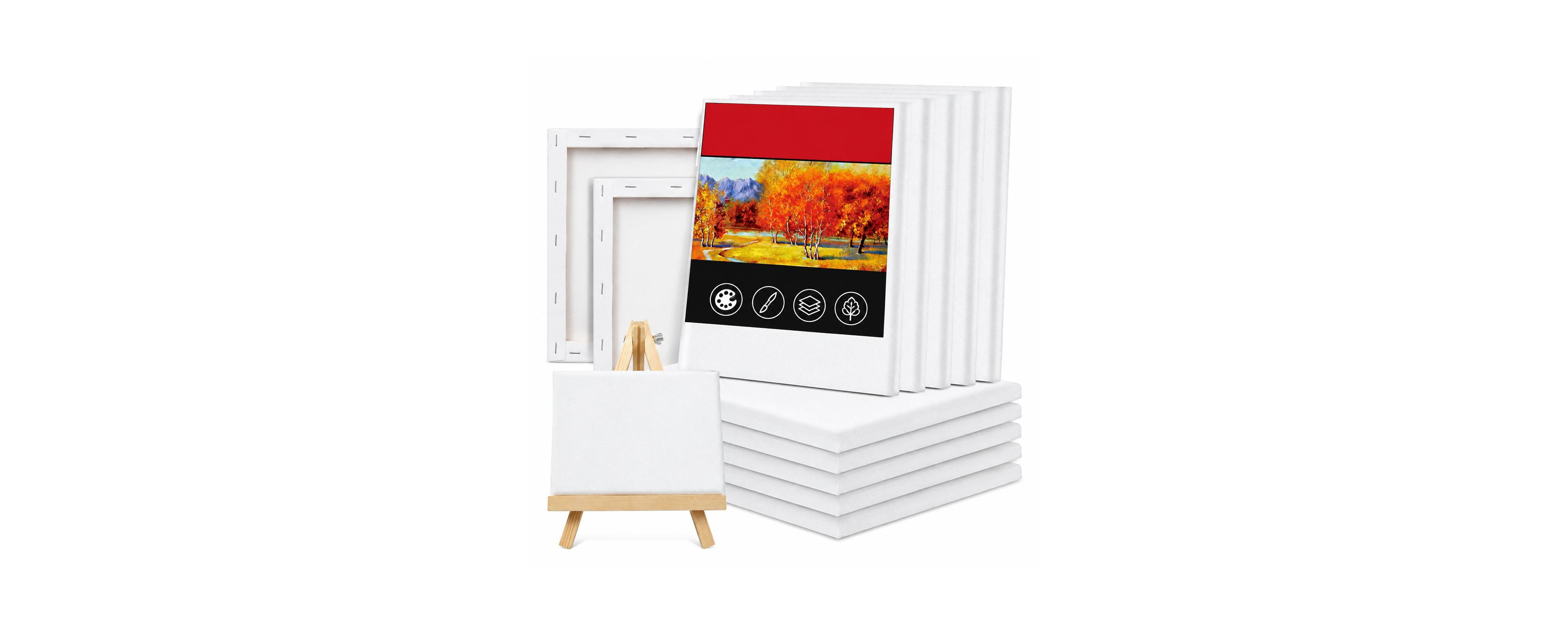 Lowking 20 Pack Stretched Blank Painting Canvases for Acrylic Oil Paint Art Supplies
