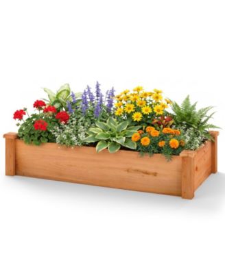 48 x 24 in Fir Wood Raised Garden Bed with Top Trim