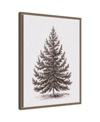 Sylvie Framed Canvas Vintage Evergreen Fir Tree lllustration I by The Creative Bunch Studio