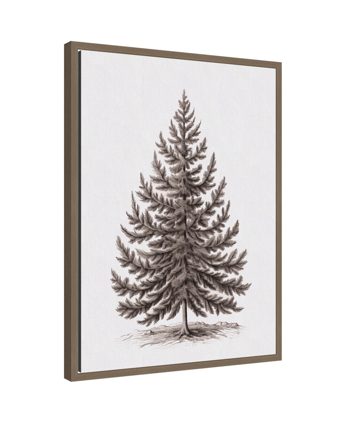 Kate and Laurel Sylvie Framed Canvas Vintage Evergreen Fir Tree lllustration I by The Creative Bunch Studio