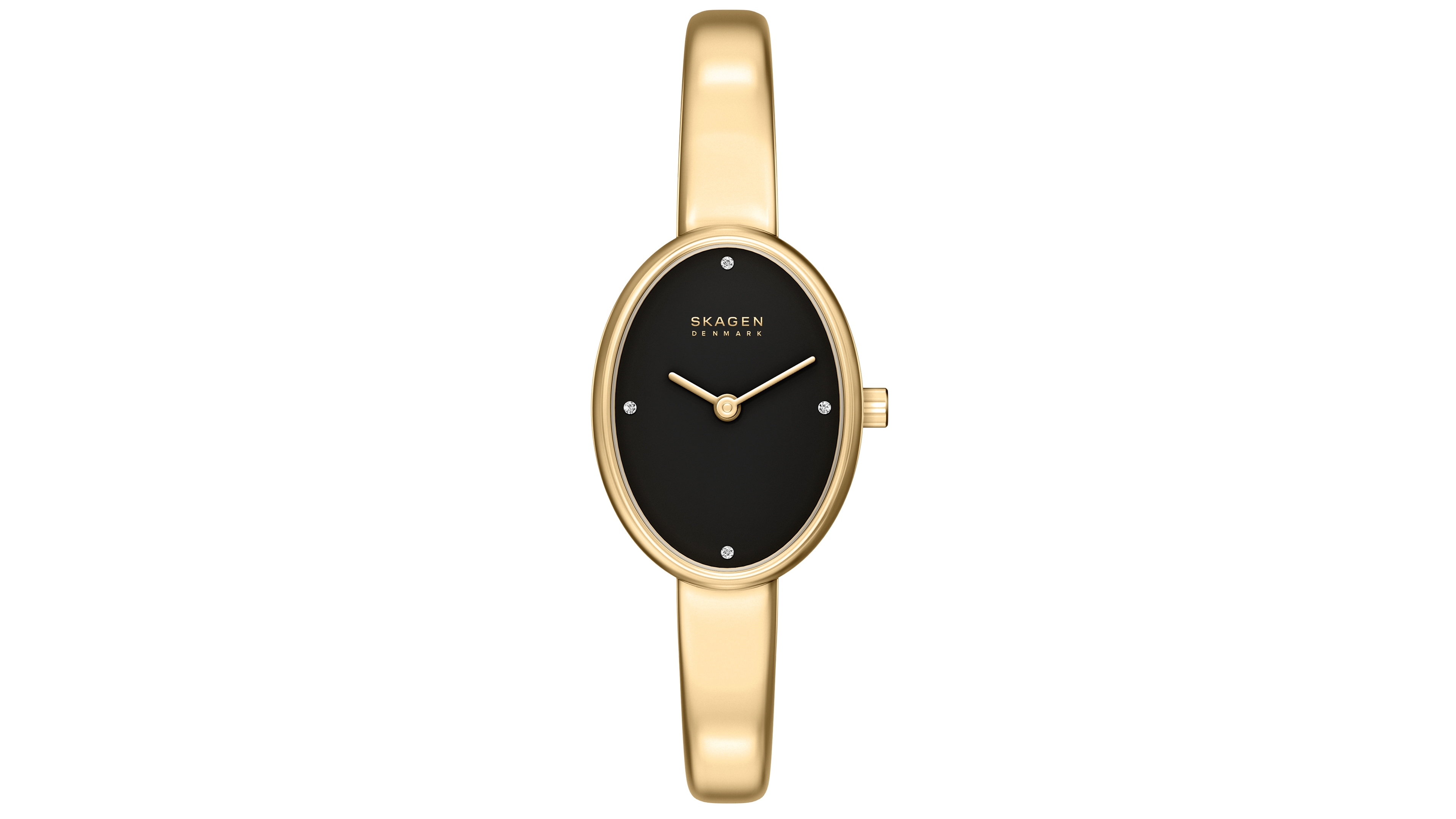 Skagen Women's Anita Quartz Analog Gold-Tone Stainless Steel Bangle Watch 20mm