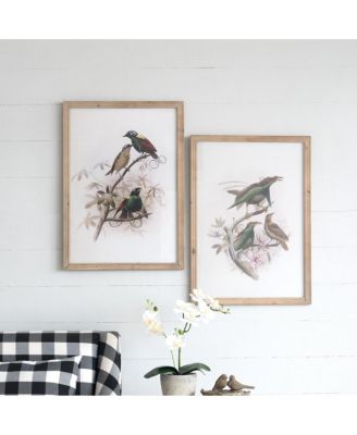 19.5" x 27.5" Nature Bird Illustration Framed Wall Art Set of 2