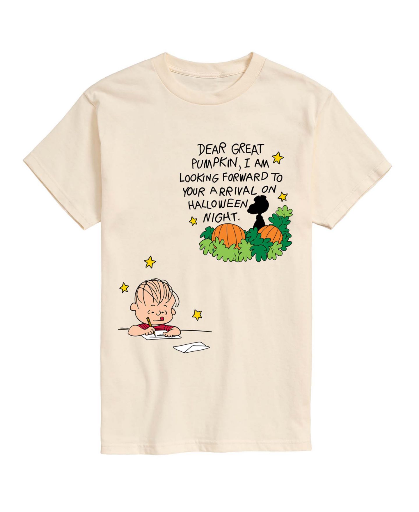 Мужская футболка AIRWAVES Great Pumpkin Letter Graphic, цвет: Кремовый — фото 1