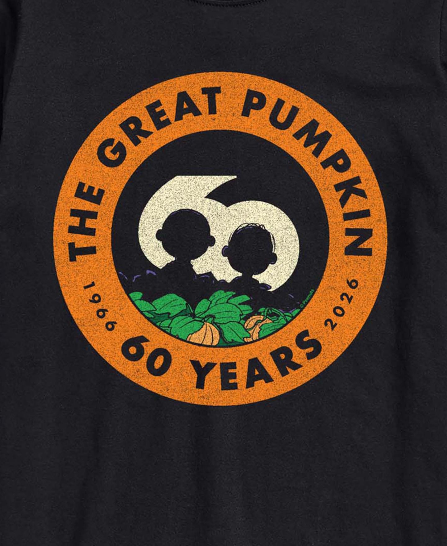 Мужская футболка AIRWAVES Great Pumpkin 60th Anniversary Graphic Regular-Fit, цвет: Чёрный — фото 3