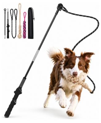 Interactive Dog Flirt Pole Heavy Duty Chase Tug Toy