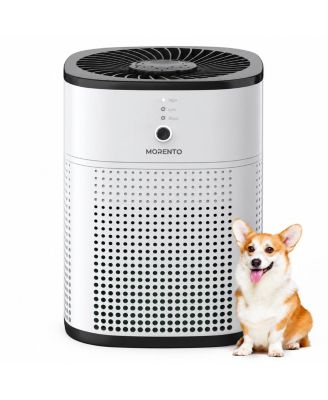 HY1800 HEPA Air Purifier for Home & Bedroom, Up to 108 Sq. Ft., 24dB Quiet Sleep Mode, Activated Carbon, 3 Speeds, Black & White