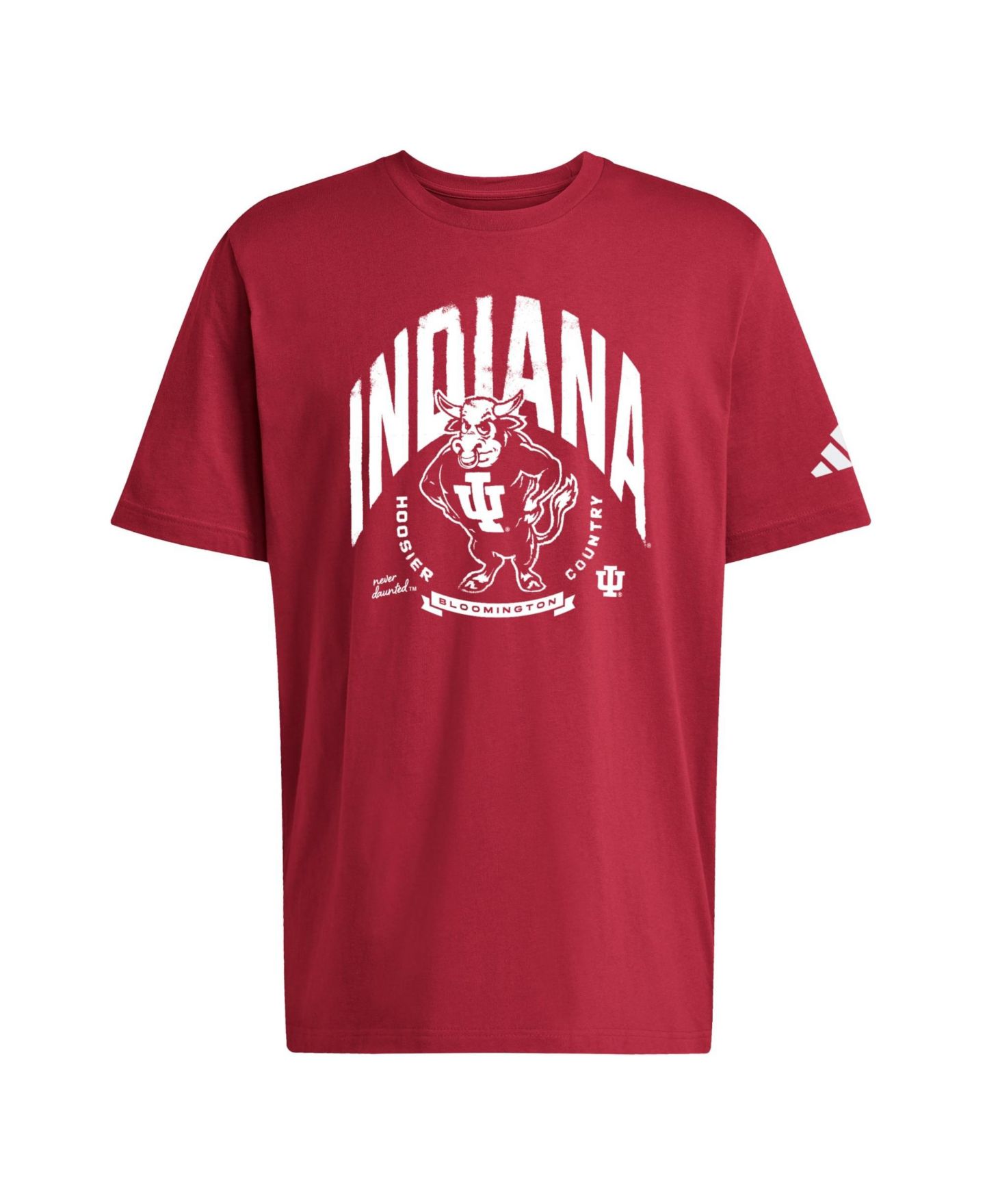 Мужская футболка adidas Crimson Indiana Hoosiers Bison Wordmark Fresh — фото 2