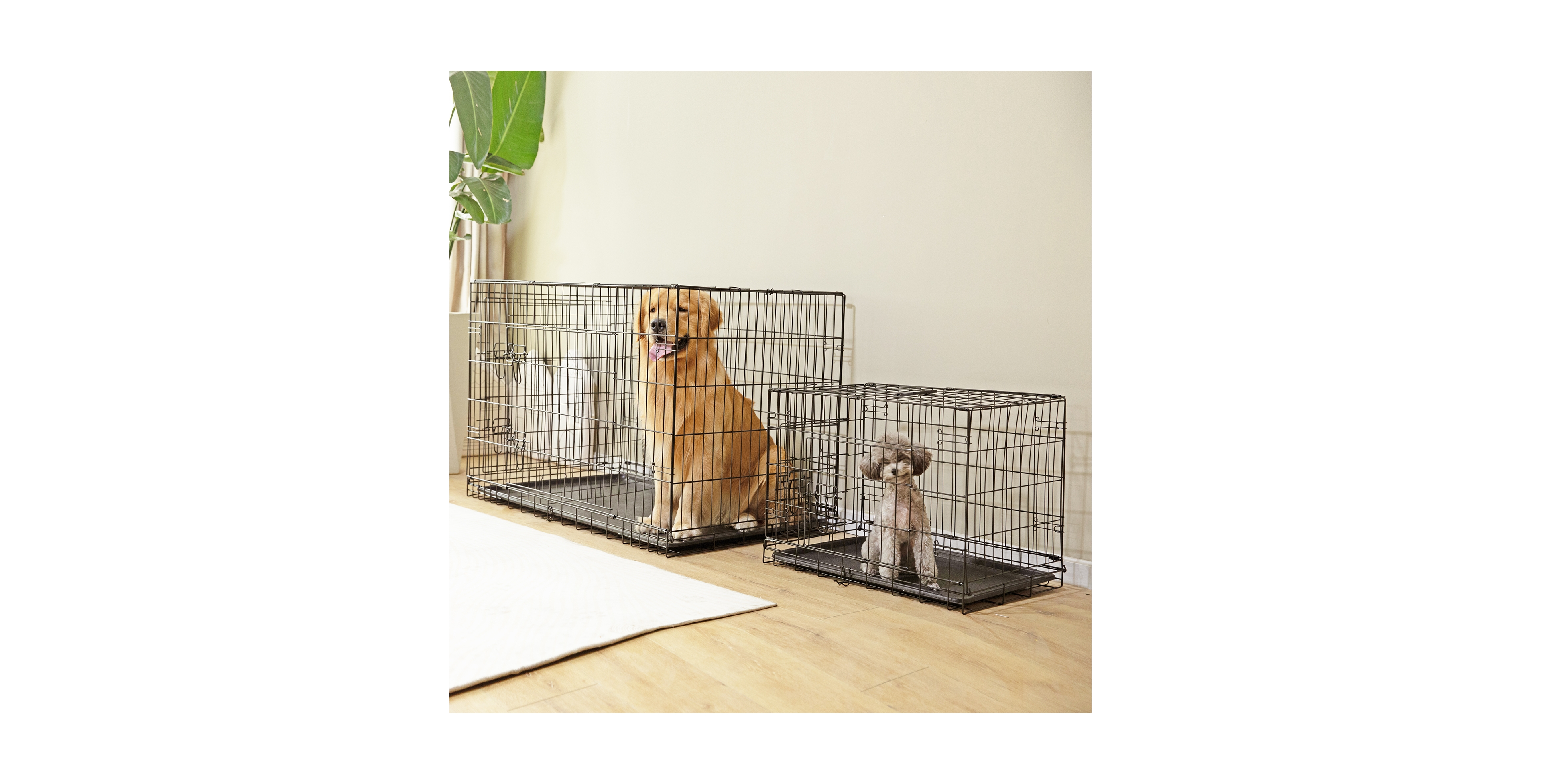 Zeny 48 Inch Foldable Metal Dog Crate with Double Door Removable Tray Divider and Carrying Handle for Home and Travel