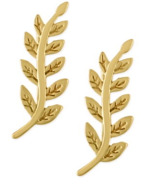 image of Rachel Rachel Roy Gold-Tone Vine Ear Crawlers