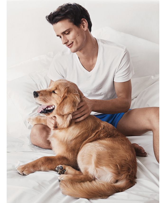 Polo Ralph Lauren Men's 5 Pack VNeck Undershirts & Reviews TShirts Men Macy's