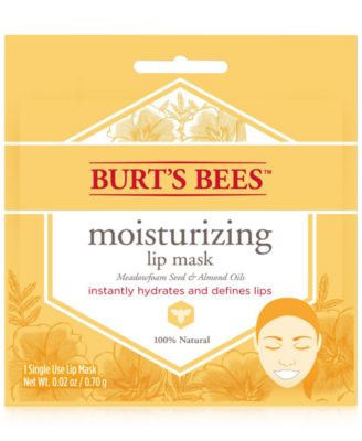 Burt's Bees - Moisturizing Lip Mask