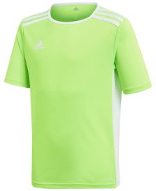 Adidas Big Boys Entrada Jersey