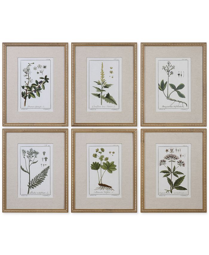 Uttermost - Green Floral Botanical Study Wall Art, Set of 6