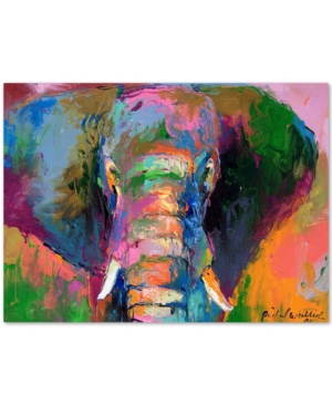 Trademark Global Richard Wallich 'elephant 2' Canvas Art In No Color