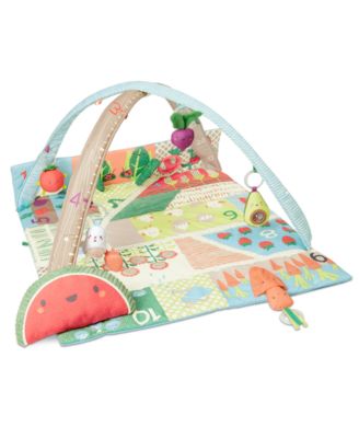 Skip Hop - Farmstand Grow & Play Activity Gym