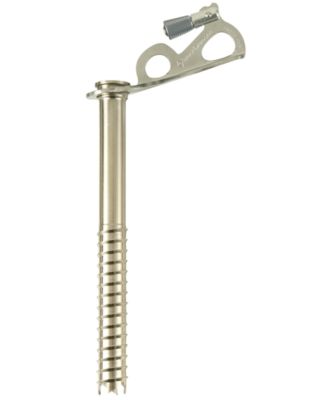 Black Diamond - Express Ice Screw, 19 cm from Eastern Mountain Sports