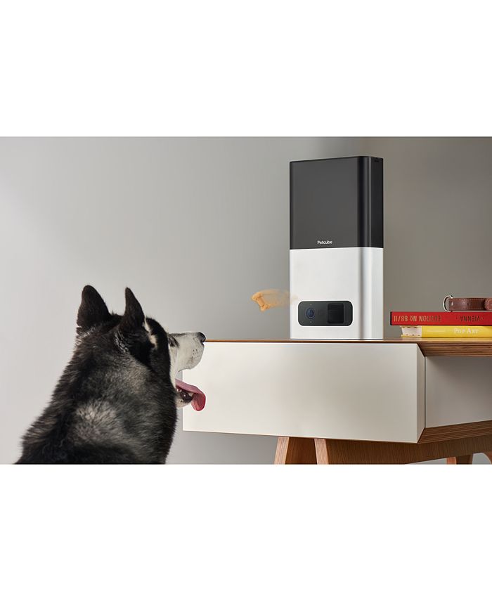 Petcube Bites WiFi Pet Camera and Treat Dispenser Macy's
