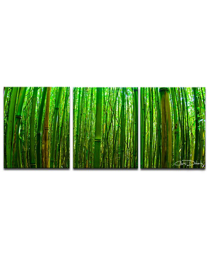 Ready2HangArt - 'Maui Palms' 3-Pc. Canvas Art Print Set