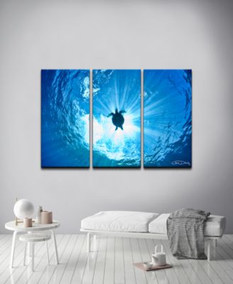 'Sea Turtle' 3-Pc. Canvas Art Print Set
