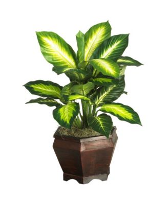 Nearly Natural - Golden Dieffenbachia Artificial Plant in Wood Planter