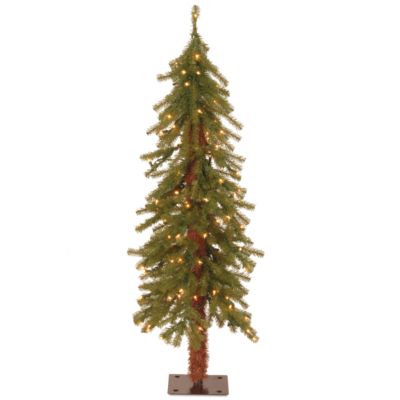 National Tree Company National Tree 4' Hickory Cedar Tree with 100 Clear Lights