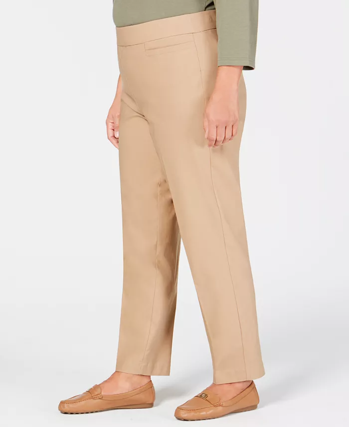 Plus Size Classic Allure Tummy Control Pull-On Average Length Pants - thumbnail 9