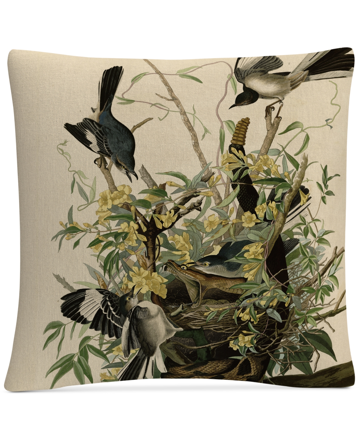 John James Audubon Mocking Birds and Snake Ii Decorative Pillow, 16 x 16