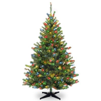 National Tree Company - National Tree 6' Kincaid Spruce Tree with 400 Multicolor Lights