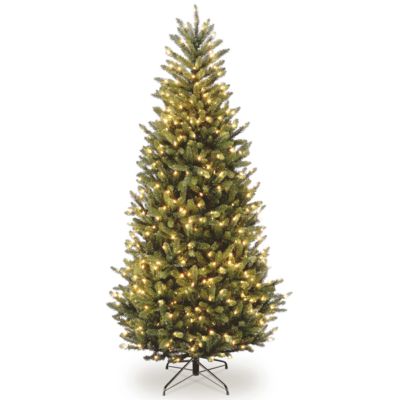 National Tree Company - 9' Natural Fraser Slim Fir Tree with 800 Clear Lights