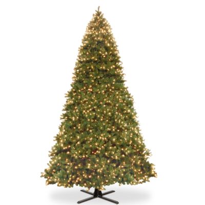 National Tree Company - National Tree 16' Feel Real  Downswept Douglas Fir Hinged Tree with 2100 Dual Color LED Lights