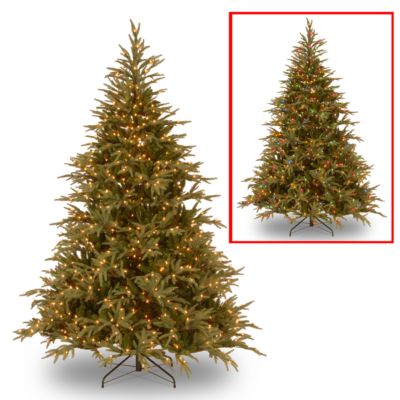 National Tree Company - National Tree 9' "Feel Real" Frasier Grande Hinged Tree with 1500 Dual LED Lights