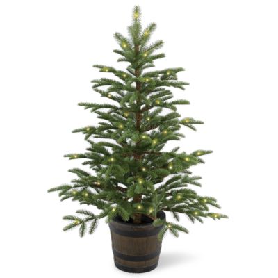National Tree Company - 4' Feel Real(R) PE Norwegian Spruce Entrance Trees in Wiskey Barrel Pot with 100 Clear Lights