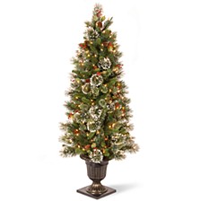 National Tree 5' Wintry Pine Entrance Tree Cones, Red Berries and Snowflakes and 100 Clear Lights