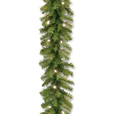 National Tree Company - National Tree 9' x 10" Norwood Fir Garland with 50 Battery Operated Soft White LED Lights