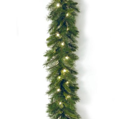 National Tree Company - 9' x 10" Winchester Pine Garland with 50 Clear Lights
