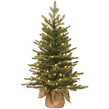 3' "Feel Real" Nordic Spruce Small Tree in Burlap with 100 Clear Lights