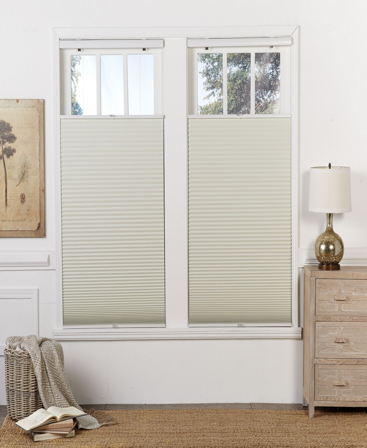 Cordless Blackout Top Down Bottom Up Shade, 39
