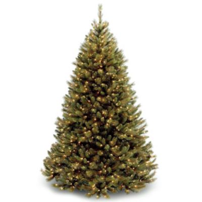 National Tree Company - National Tree 7 .5' Rocky Ridge Medium Pine Hinged Tree with 750 Clear Lights