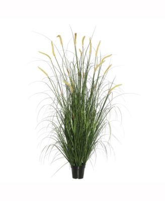 Vickerman 60" Pvc Artificial Potted Green Foxtail Grass X 420 - Macy's