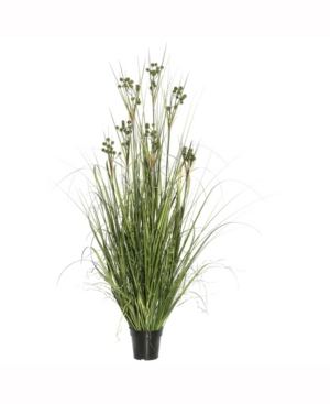 Vickerman 36