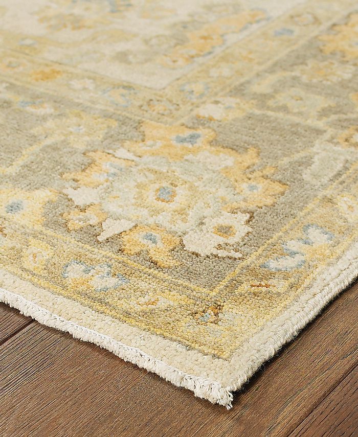 Tommy Bahama Home Palace 10307 Beige/Gray 9' x 12' Area Rug & Reviews