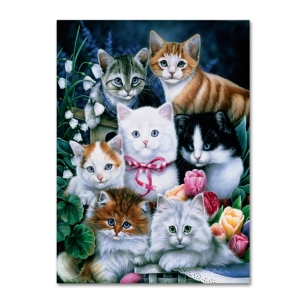 Trademark Global Jenny Newland 'kittens' Canvas Art, 14" X 19" In Open Misce