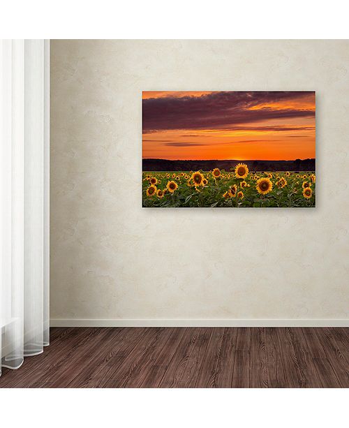 Trademark Global Michael Blanchette Photography Sunflower Sunset