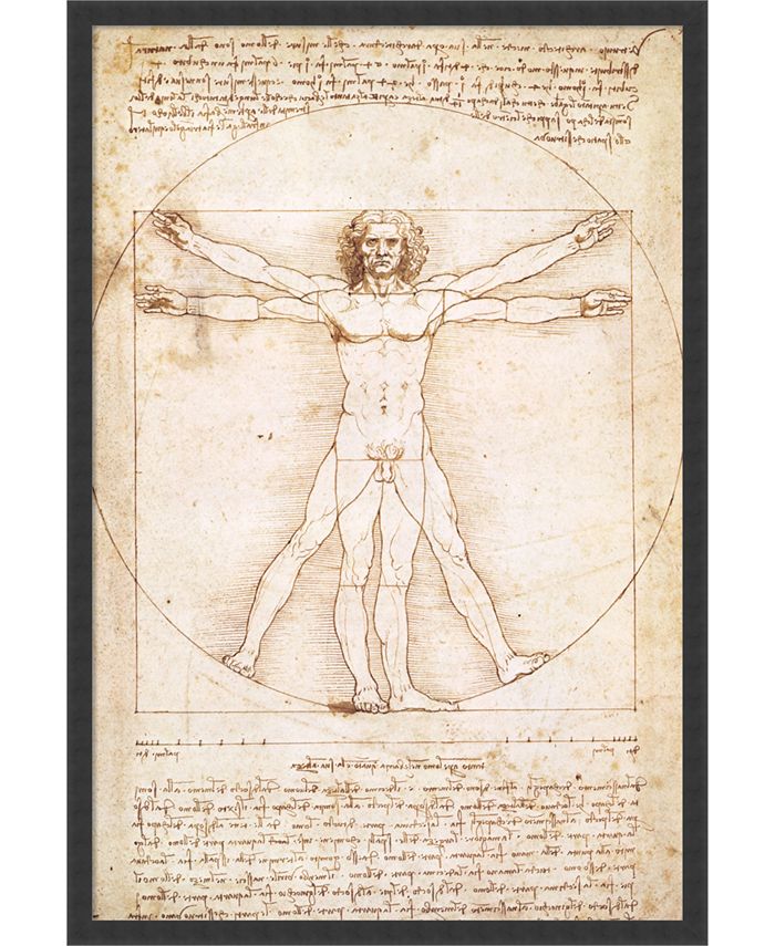 Amanti Art Proportions Of The Human Figure Framed Art Print Macy's