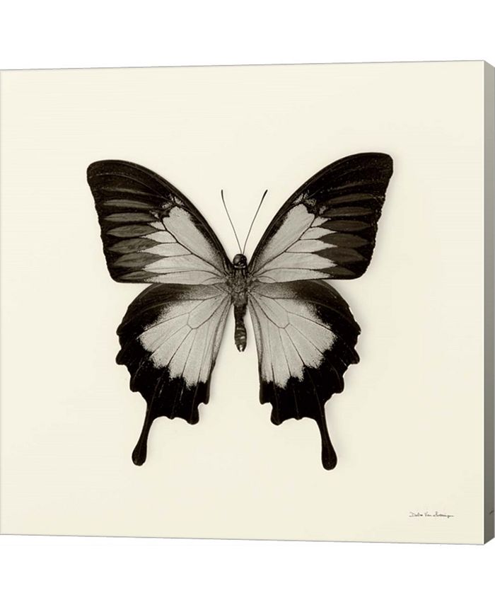 Metaverse Butterfly III by Debra Van Swearingen Canvas Art - Macy's