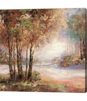 Light In Balanc by Cory Bannister