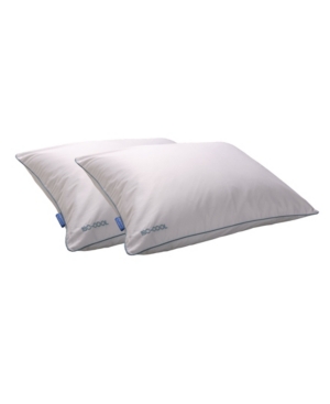 Carpenter Co. Isocool Polyester King Twin Pack Pillows In White